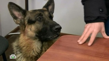 Тайная профессия 24.10.2017