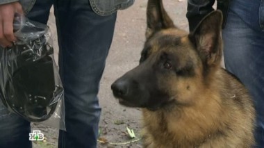 Тайный умысел 04.10.2017