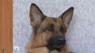 Телефонный призрак 19.01.2016