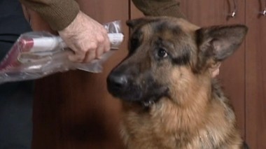 В поисках Герцога 28.08.2016