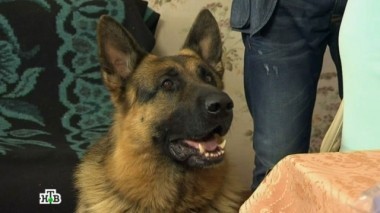 Великая сила литературы 21.09.2017