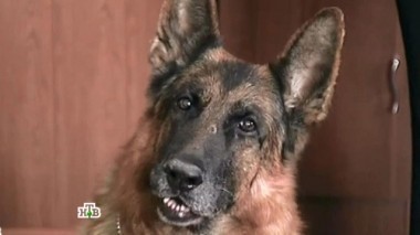 Вкус детства 26.10.2014