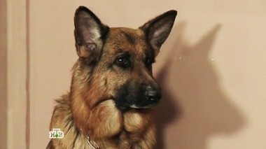 Волшебная купюра 02.08.2017