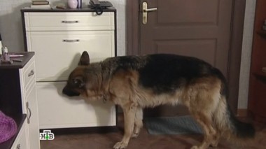 Возвращение 23.07.2017