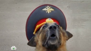 Все наоборот 12.09.2017