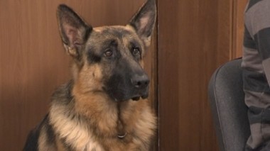 Второй роман 06.11.2016