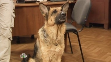 Я памятник себе... 01.08.2016