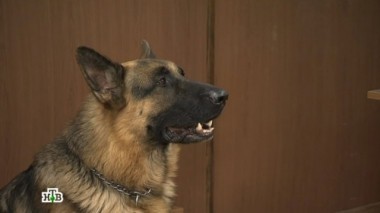 Задаток 05.10.2017