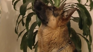 Журналист меняет профессию 19.09.2016