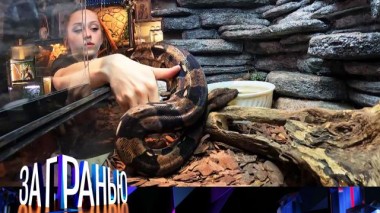 «7 людей и 40 змей» 18.09.2024