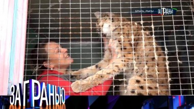 «Брысь, рысь!» 16.10.2024