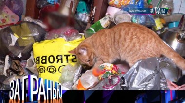 «Дом ужасов» 10.02.2024