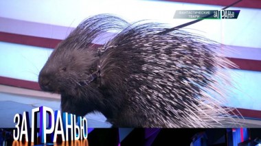 «Фантастические твари» 19.03.2025