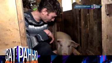 «Ферма в квартире» 06.12.2025