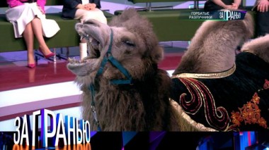 «Горбатые разлучники» 02.03.2024