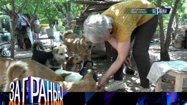 «Осторожно! Злые соседи!» 17.06.2024