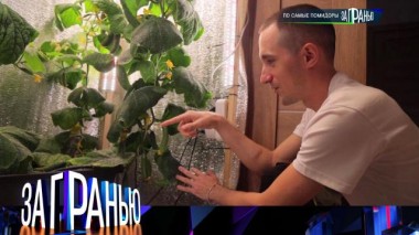 «По самые помидоры» 19.05.2025