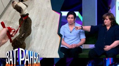 «Собачья жизнь» 30.03.2025