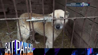 «Соседи против крематория» 23.12.2023