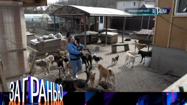 «Соседский вой» 20.04.2024