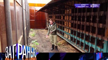 «Ферма для убийства?» 17.10.2021