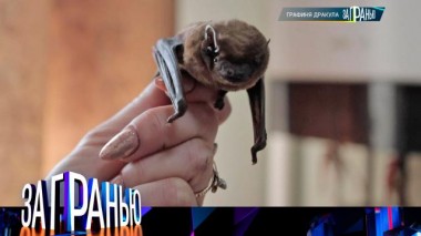 «Графиня Дракула» 01.02.2023