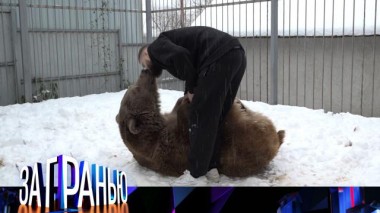 «Косолапый сосед» 30.11.2022