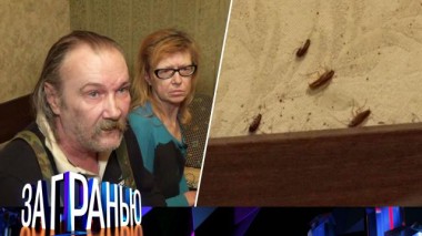 «Миллионы за тараканов» 31.10.2022