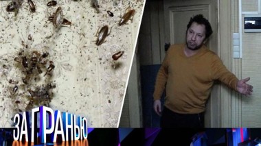 «Сосед с тараканами» 16.03.2022