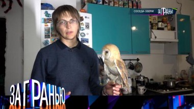 «Соседи-звери!» 21.02.2023