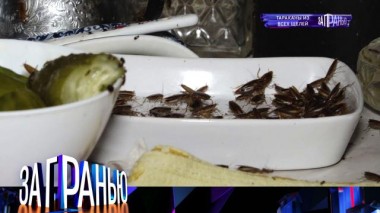 «Тараканы из всех щелей» 27.10.2021