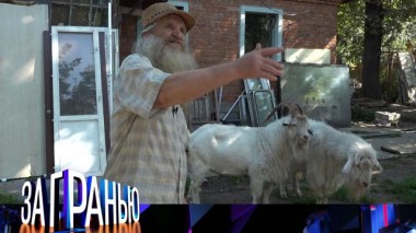 «За козла ответишь!» 14.09.2022