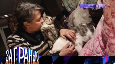 «Загорелся кошкин дом» 15.02.2022