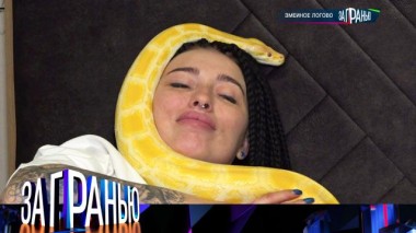 «Змеиное логово» 18.01.2024