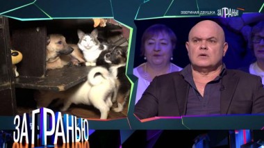 «Звериная двушка» 27.03.2024