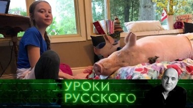 Урок №83. Грета, Трамп и Бурёнка 21.11.2019