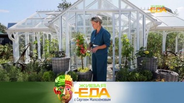 Дачный спецвыпуск 05.10.2024