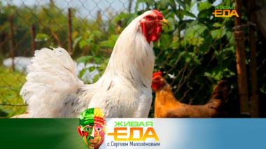 Домашнее животноводство, реальные свойства артишока и желтки во фритюре 10.10.2025