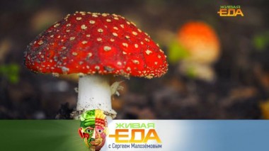 Мода на поедание мухоморов, а также — оливки vs оливковое масло 01.02.2025