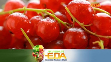 Неожиданные факты о смородине и свойства современных упаковок молока 21.09.2024