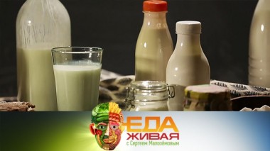 Реальные свойства кефира, подделка анчоусов и цены на жвачки 07.03.2020