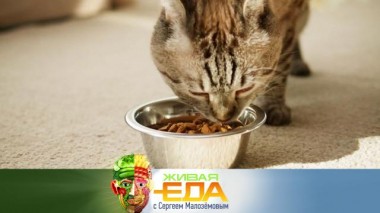 Вкус и польза кормов для животных, мифы и реальность о скандальном дуриане, рецепт салата из замороженных овощей 15.02.2025