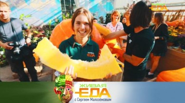 Вкус и польза овощей-гигантов, ценность блюд из щуки и рецепт лимонного поссета 21.10.2023