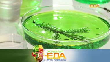 Живая еда / Выпуски / Блюда из елки и простые секреты красивой новогодней сервировки 25.12.2021