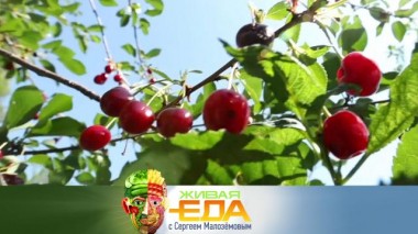 Живая еда / Выпуски / Что такое черевишня и можно ли есть арбузные семечки 03.09.2021