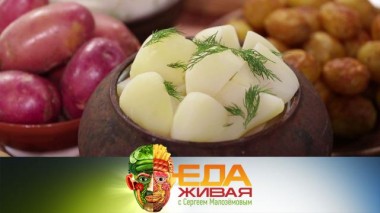Живая еда / Выпуски / Картофель &mdash; второй хлеб: вся правда о картошке. Спецвыпуск 17.10.2020