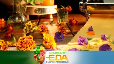 Живая еда / Выпуски / Насекомые на кухне, съедобные «несъедобные» продукты и свойства горьких огурцов 15.09.2023