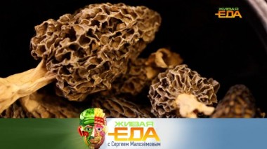 Живая еда / Выпуски / Опасность весенних грибов, все об улучшителях мяса и рецепт мини-холодца с креветками 21.05.2022