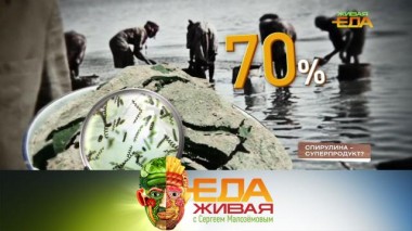 Живая еда / Выпуски / Ответы на самые популярные вопросы зрителей. Спецвыпуск 04.12.2020