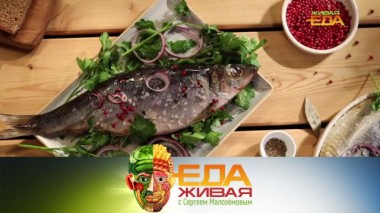 Живая еда / Выпуски / Паразиты и химикаты в селедке, а также &mdash; выбор подсолнечного масла 06.03.2021